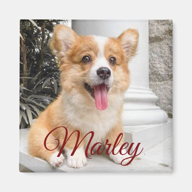 Modern Rustic Simple Anpassningsbar Pet Photo Magn Magnet (Framsidan)