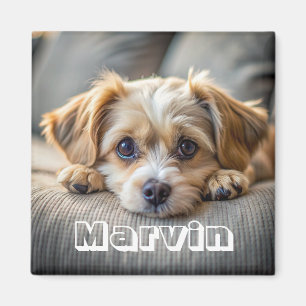 Modern Rustic Simple Anpassningsbar Pet Photo Magnet
