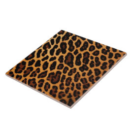 Modern samling av leopard Cat Animal Print Modern Kakelplatta