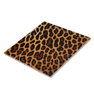 Modern samling av leopard Cat Animal Print Modern Kakelplatta