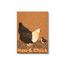 Modern Sandy-orange Hen & Chick Kitchen