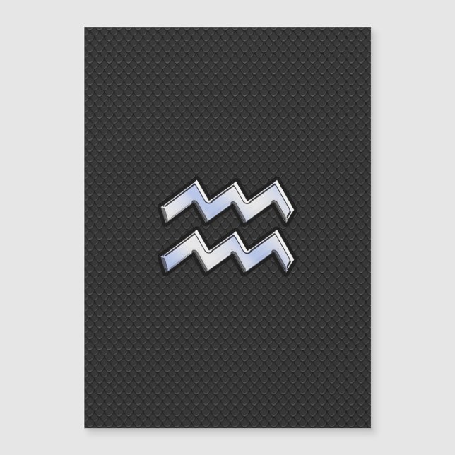 Modern Silver Aquarius Zodiac-inloggning på Snake (Framsida)