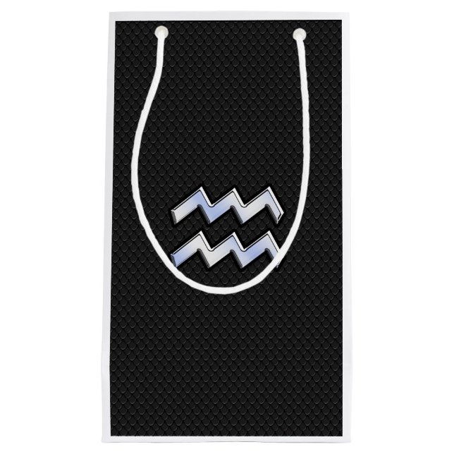 Modern Silver Aquarius Zodiac-inloggning på Snake (Framsidan)