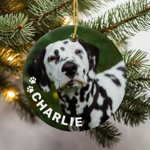 Modern Simple Pet Namn och Photo Julgransprydnad Keramik