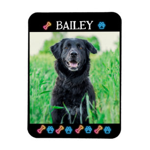 Modern Simple Pet Namn och Photo Magnet