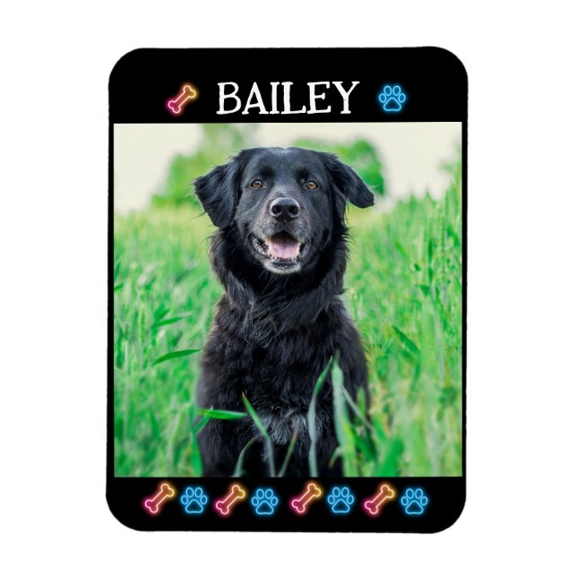 Modern Simple Pet Namn och Photo Magnet (Vertikal)