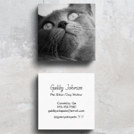 Modern Simple Pet Sitter Dog Walker Fyrkantigt Visitkort