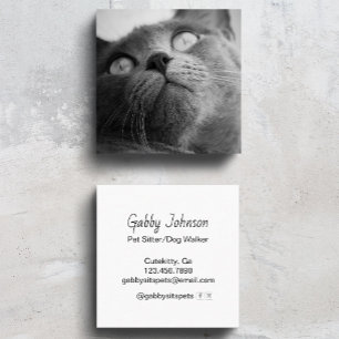 Modern Simple Pet Sitter Dog Walker Fyrkantigt Visitkort
