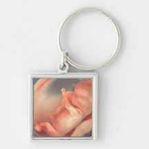 Modern Simple Sonogram Ultrasound Nyfödd bebis Pho