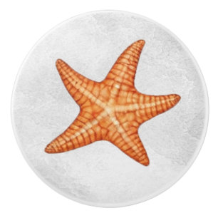 Modern sjöfärgssegelfisk i kustsegmentet Starfish Knopp
