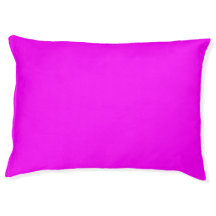 Modern Solid Rosa Magenta Hund Bed