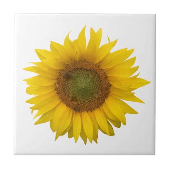 Modern solros enkel Rustic Kakelplatta (Framsidan)