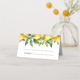 Modern sommar citron citrus bröllopsdusch placeringskort