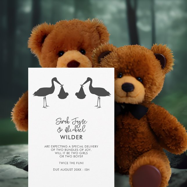 Modern Stork Twillingars Gravid annonskort Meddelande (Skapare uppladdad)