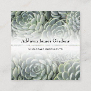 Modern Succulary Garden Nursery-Grönt Botanicals Fyrkantigt Visitkort