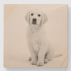 Modern svart och vit Golden Retriever Stenunderlägg