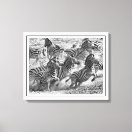 Modern svart och vitt fotografi Fine Art Zebra Canvastryck