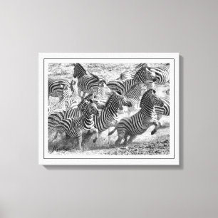 Modern svart och vitt fotografi Fine Art Zebra Canvastryck
