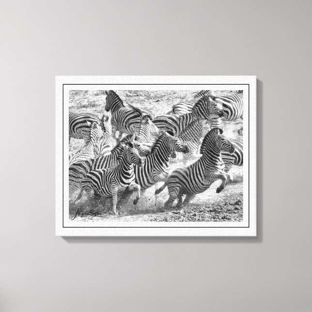 Modern svart och vitt fotografi Fine Art Zebra Canvastryck (Framsida)
