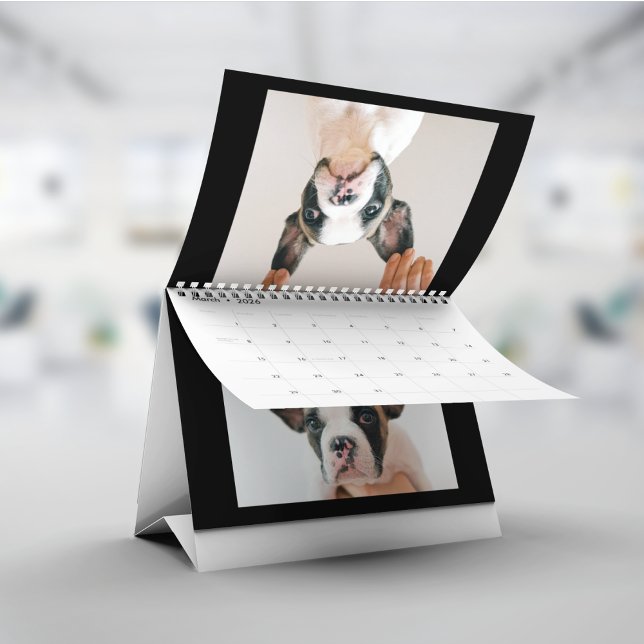 Modern svart scrapbook husdjursfoto kalender (Skapare uppladdad)