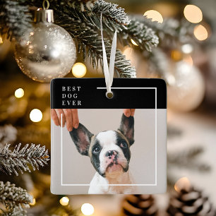 Modern svart-vit foto på bästa hunden någonsin julgransprydnad keramik