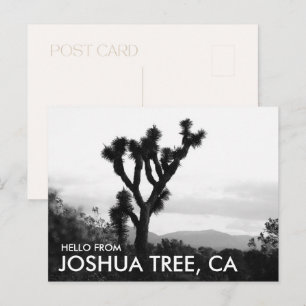 Modern svart & vit Hej från Joshua Tree Vykort