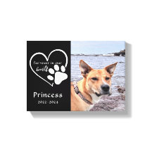 Modern svart-vit minnesbild för husdjur