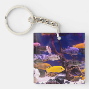 modern Tank av vattenlevande art