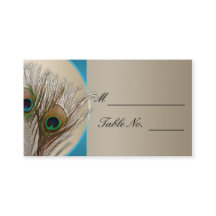Modern Taupe Aqua Peacock Feather Weddin Place