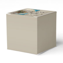 Modern Taupe Aqua Peacock Feather Wedding Favor Bo