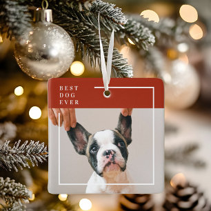 Modern Terrakotta Röd Bästa Hund Någonsin Foto Julgransprydnad Keramik