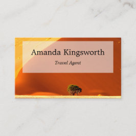 Modern Travel agent professionell Afrika Namibia Visitkort