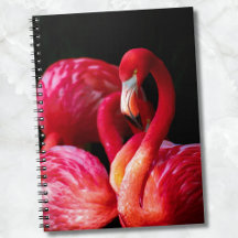 Modern Tropical Rosa Flamingo