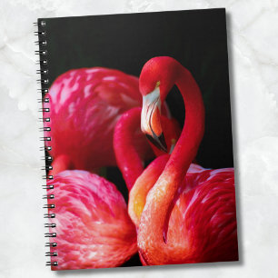Modern Tropical Rosa Flamingo Anteckningsbok