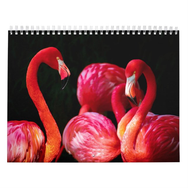 Modern Tropical Rosa Flamingo Kalender (Omslag)