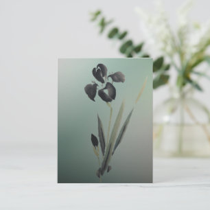 Modern ukiyo-e japansk iris med enkel Elegant Vykort