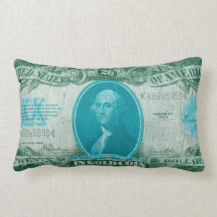 Modern valuta V Lumbarkudde