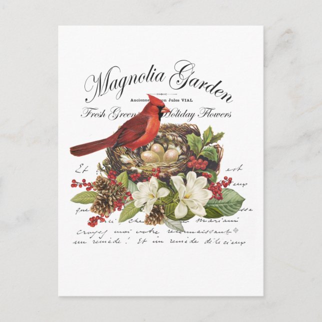 Modern vetage jul-kardinal vykort (Framsida)