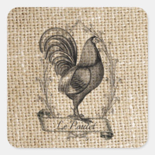 Modern vintage Farm Chicken fransk land tupp Fyrkantigt Klistermärke