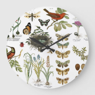 modern vintage fransk botaniska fåglar och blommor stor klocka