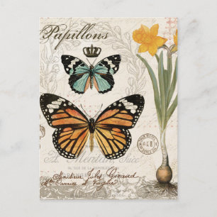 Modern vintage fransk Butterflulies Vykort