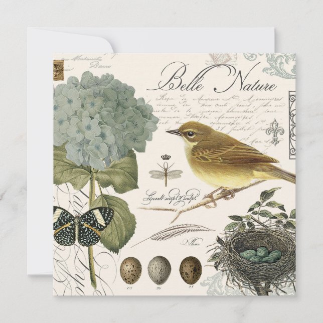 modern vintage, Fransk, fågel och bo (Framsida)