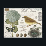 modern vintage, Fransk, fågel och bo Vykort<br><div class="desc">modern vintage,  Fransk,  fågel och bo</div>