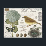 modern vintage, Fransk, fågel och bo Vykort<br><div class="desc">modern vintage,  Fransk,  fågel och bo</div>
