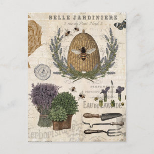 Modern Vintage Fransk Farmhouse Bee Vykort