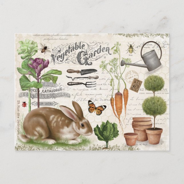 Modern Vintage Fransk Farmhouse Garden Rabbit Vykort (Framsida)
