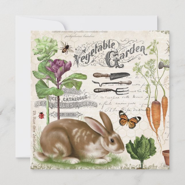 Modern Vintage Fransk Garden Rabbit (Framsida)