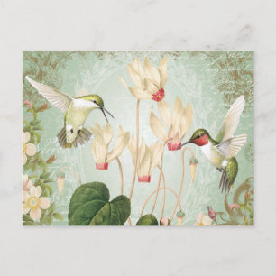 Modern Vintage Fransk Hummingbird Vykort