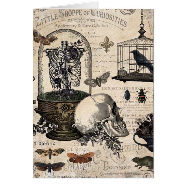 Modern Vintage Halloween Garden Hälsningskort (Framsidan)