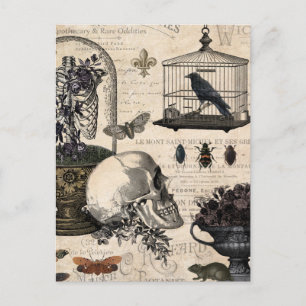 Modern Vintage Halloween Garden Vykort